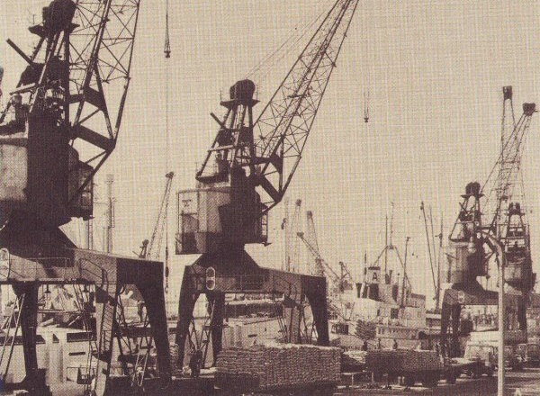 Discharging bagged cargo from the USA direct to road transport